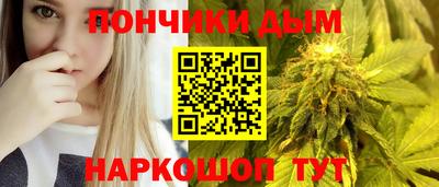 индика Ижевск