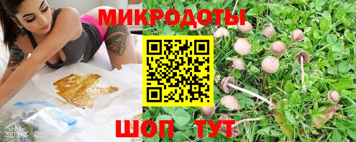 Псилоцибиновые грибы мухоморы Алейск
