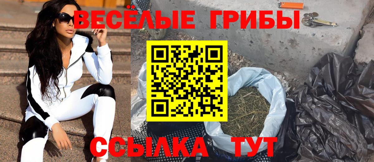 Галлюциногенные грибы Psilocybine cubensis  Вход с VPN  Алейск 